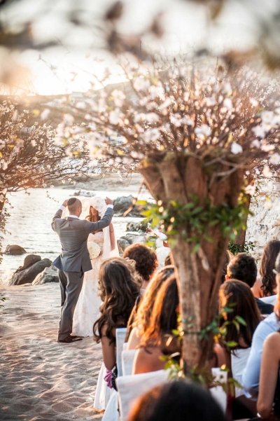 Click to enlarge image